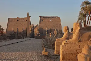 Sphinxes: Avenue of the Sphinxes, Luxor Temple, Luxor, Egypt
