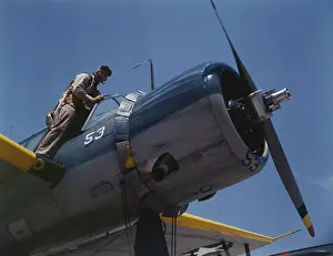 Cadet: Aviation cadet in training at the Naval Air
