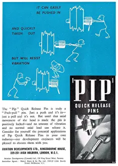 Chobert: Aviation Developments - PIP Pin