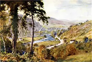Avoca: AVOCA VALE/IRELAND 1916