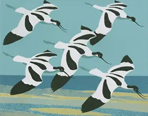 Linocut: The Avocets Return