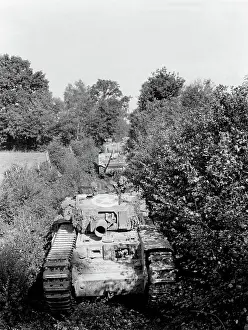 Followed: An Avre moving through close country