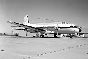 Raaf: Avro 748 A10-595