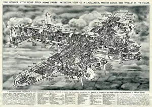 Cross Section: Avro Lancaster heavy bomber 1943
