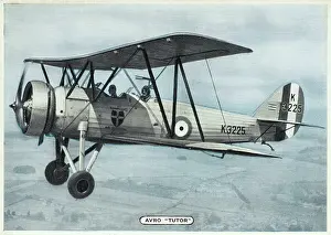 User: AVRO TUTOR