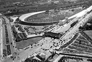 Alfa: Avus race, 1938