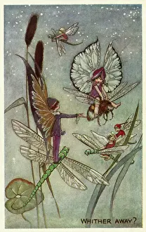 Dragonflies: Whither Away by Florence Mary Anderson