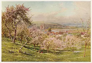 Axmouth: AXMOUTH/DEVON/1909