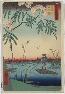 Blossoming: Ayase River and Kanegafuchi