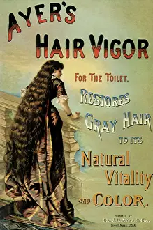 Promising: Ayer's Hair Vigor