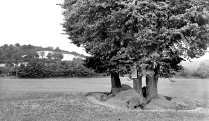 Aylesford: Aylesford, the Countless Stones c1960