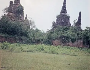 Prang: Ayuthaya ruins - Thailand