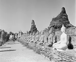 Buddha: Ayutthaya Buddhist Temple