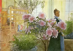 Blooms: Azalea