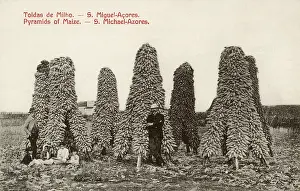 Maize: Azores, Portugal - Maize Pyramids