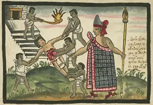 Tovar: Aztec human sacrifice, in which a beating