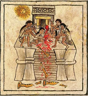 Nueva: Aztec Human Sacrifice, Codex Florentine, 16th Century