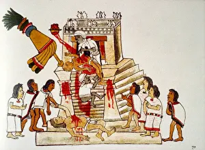 Tenochtitlan: Aztec Human Sacrifice, Codex Magliabechiano