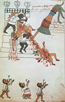Orden: Aztec Human Sacrifice, Codex Tudela, 16th Century
