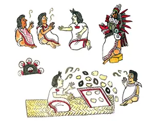Aztlan: Aztec Medicine, Codex Magliabechiano, 16th Century
