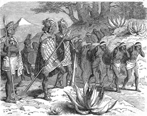 Aztecs: Aztec Warriors directing a caravan of porters