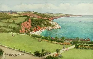 Babbacombe: Babbacombe Downs, near Torquay, South Devon