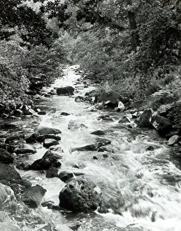 Brook: Babbling brook, North Wales