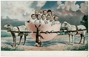 Rabbits: Babies in a broken eggshell