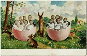 Rabbits: Babies in broken eggshells