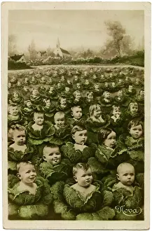 Cabbages: Babies in a cabbage patch