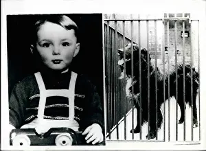 Dusky: Babies - Children - Multiple Births