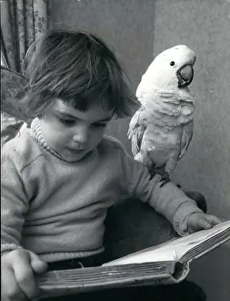 Cockatoo: Babies - Children - Multiple Births