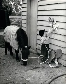 Cowgirl: Babies - Children - Multiple Births