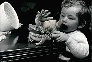 Hornsey: Babies - Children - Multiple Births