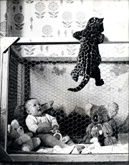 Playmate: Babies - Children - Multiple Births