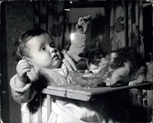 Intent: Babies - Children - Multiple Births