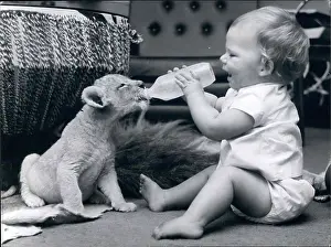 Lunchtime: Babies - Children - Multiple Births