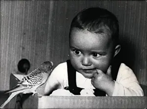Birdie: Babies - Children - Multiple Births