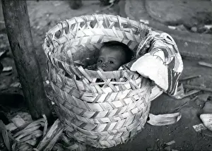 Adorable: Babies - Children - Multiple Births