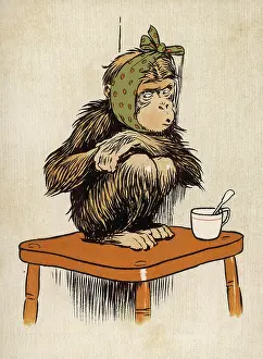 Apes: Baby chimpanzee Aldin