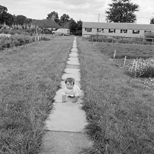 Crawls: Baby crawling on path