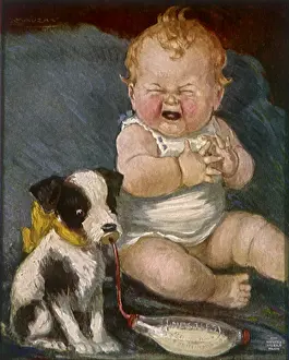 Babys: Baby Cries as Dog Drinks