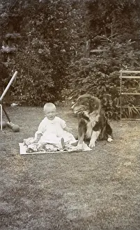 Croquet: Baby and dog in a garden