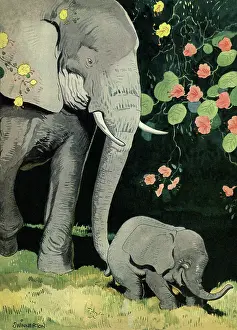 Writings: Baby Elephant Walk