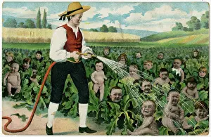 Cabbages: BABY-FARMING