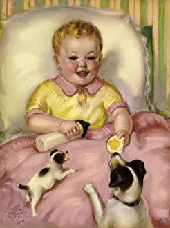 Feeds: Baby Feeds Dogs