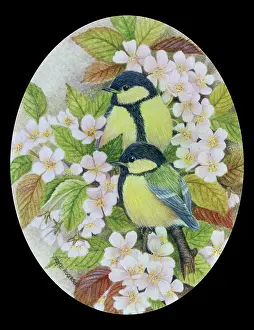 Rogerson: Two Baby Great Tits on Blossom