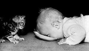 Saucer: Baby and Kitten