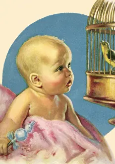 Parakeet: Baby and Parakeet