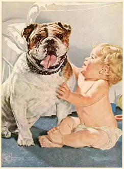 Crockwell: Baby Petting Bulldog